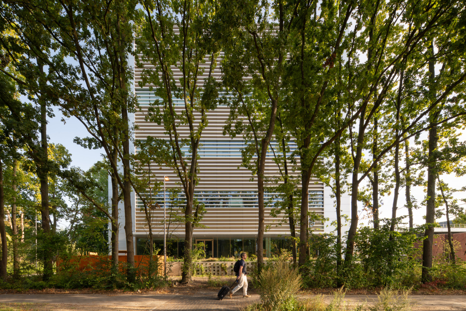 Low res Aiste Rakauskaite 1