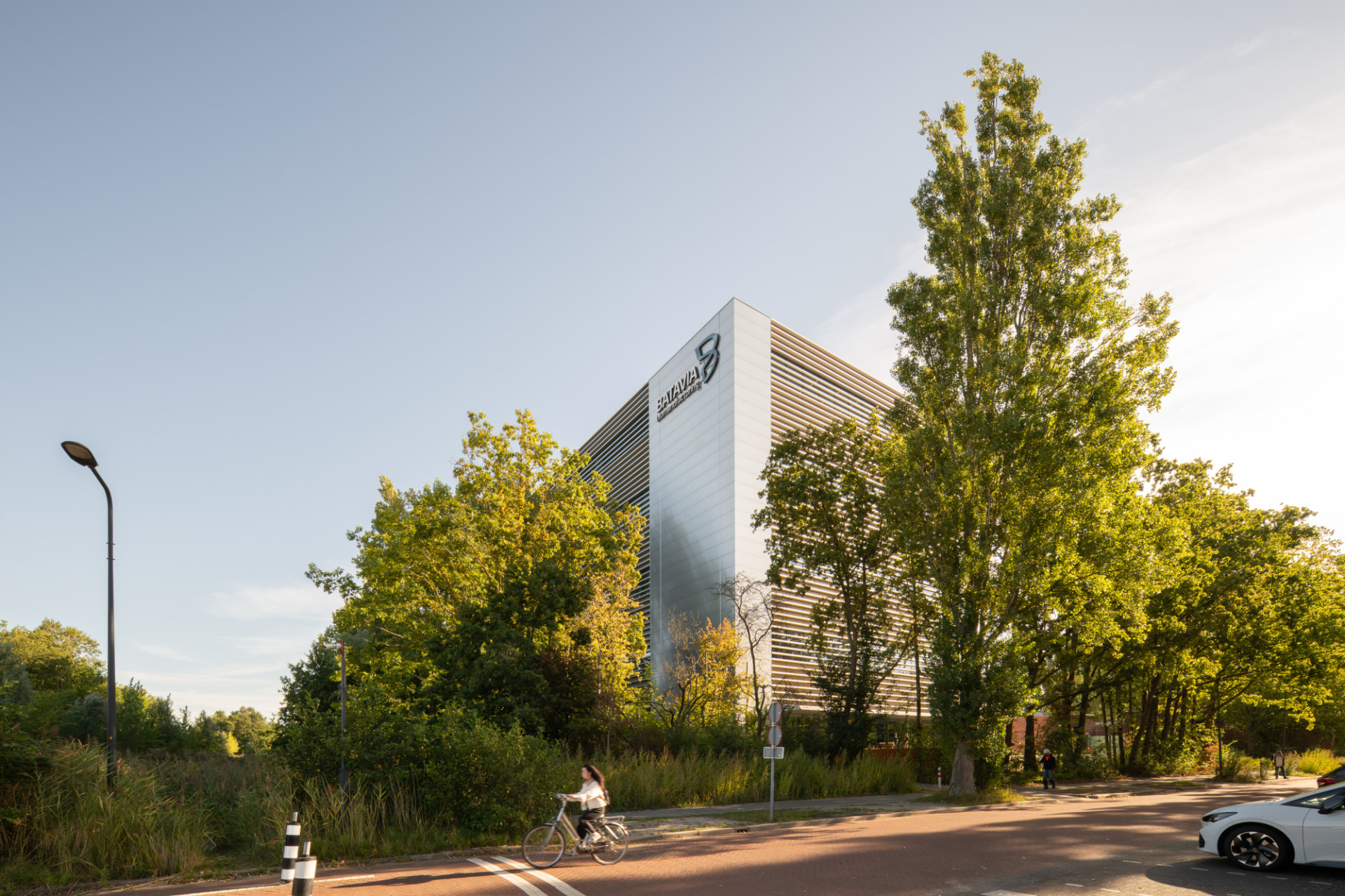 Low res Aiste Rakauskaite 3