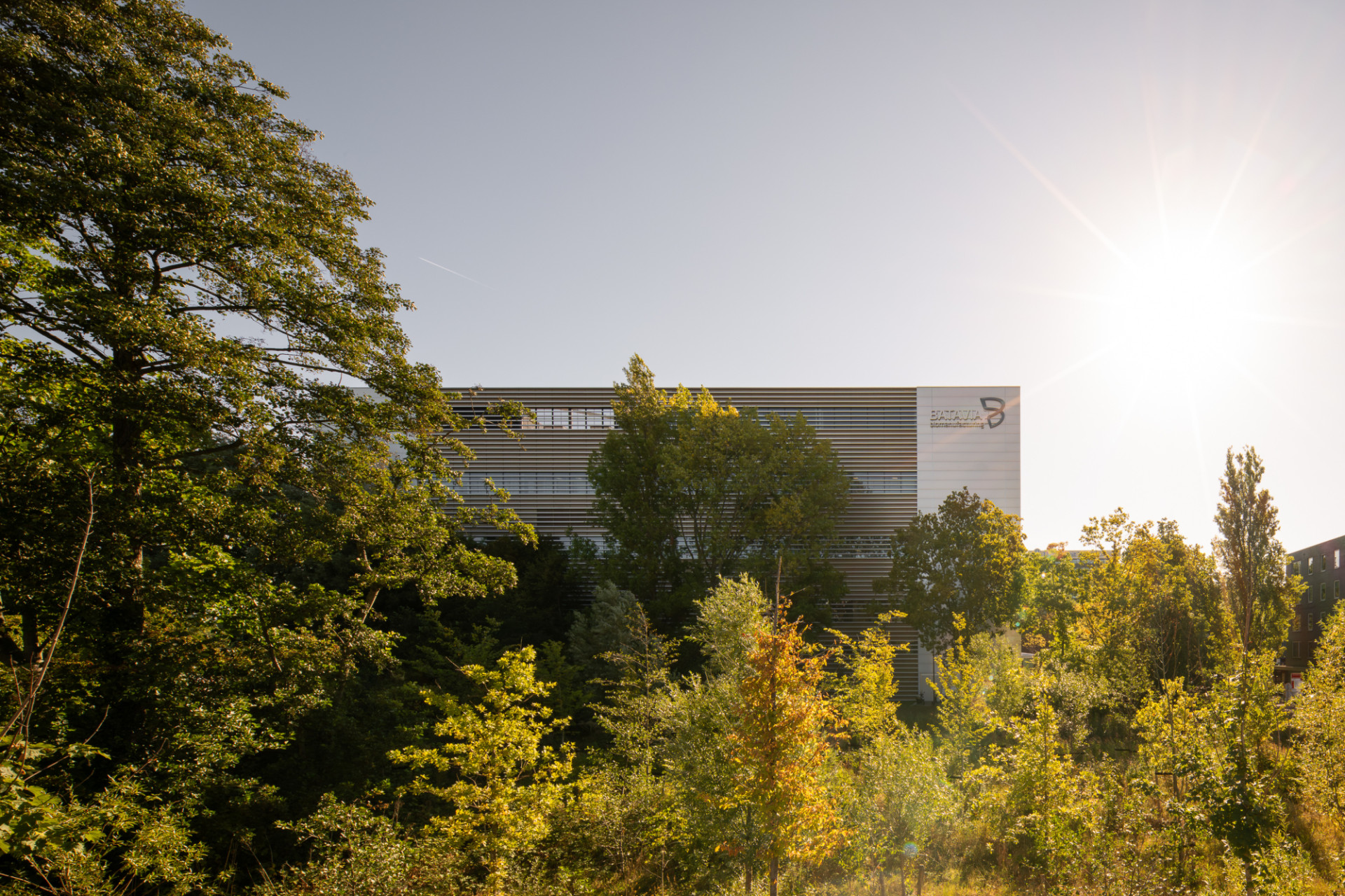 Low res Aiste Rakauskaite 4