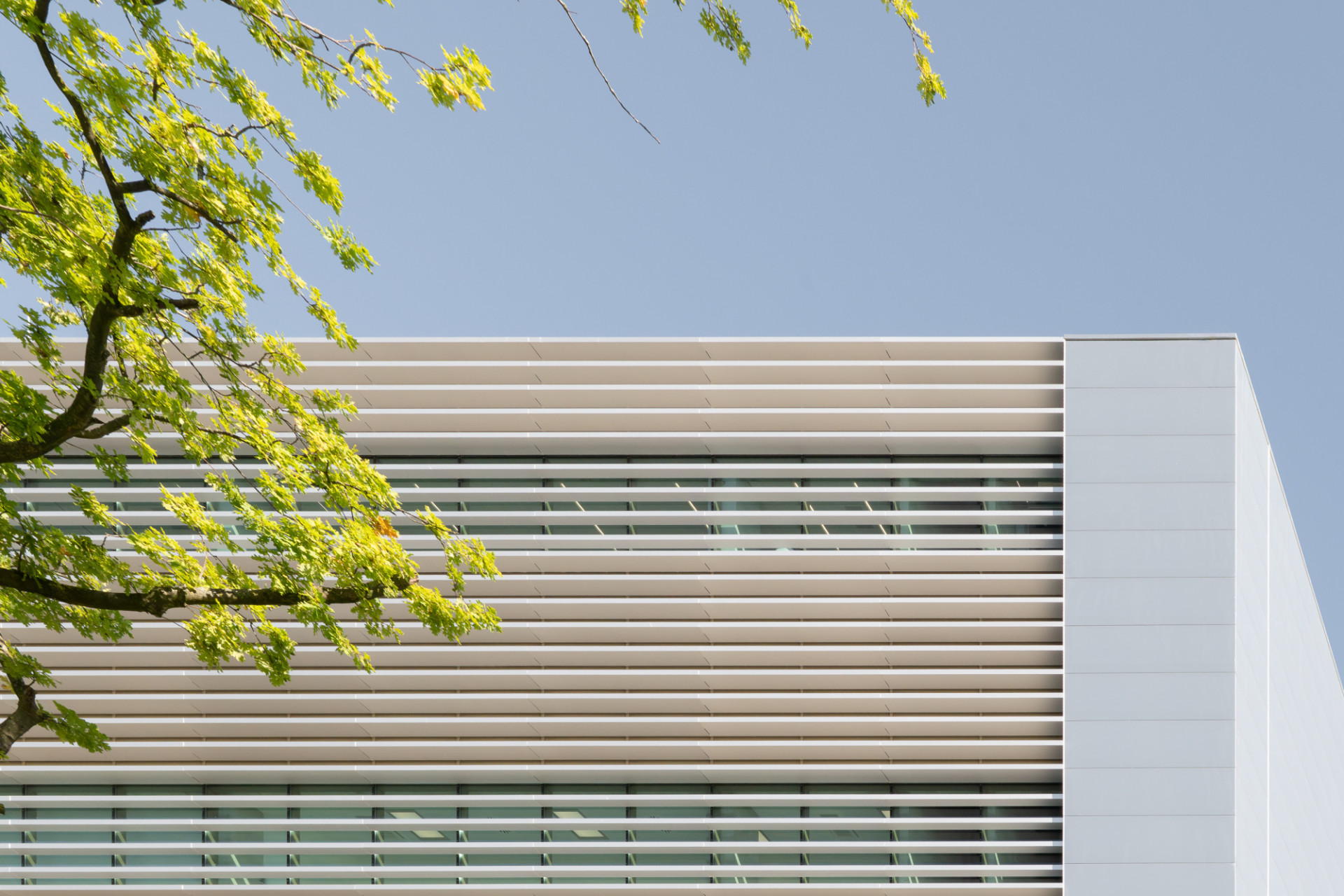 Low res Aiste Rakauskaite 6