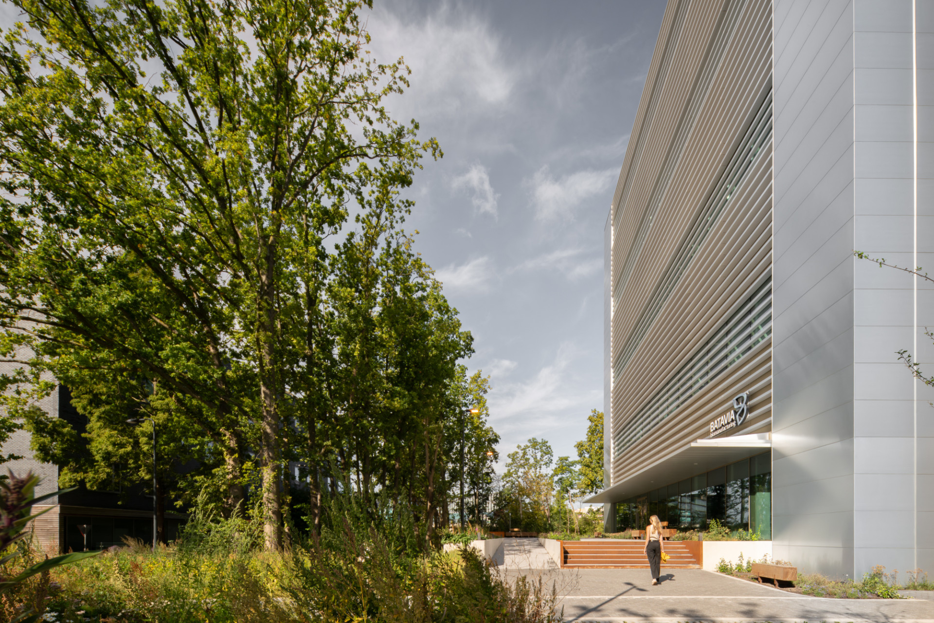 Low res Aiste Rakauskaite 9