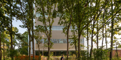 Low res Aiste Rakauskaite 1