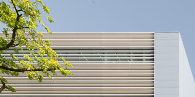 Low res Aiste Rakauskaite 6